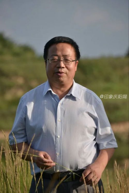 付興奎，本土作家，長期致力于隴東鄉(xiāng)土散文創(chuàng)作。在《四川文學(xué)》《華夏散文》《中國西部散文選刊》《雪蓮》等刊物上發(fā)表散文作品多篇，著有《城鄉(xiāng)紀(jì)事》《吾鄉(xiāng)吾土》《流年》《紙上的村莊》散文集多部，曾獲甘肅省黃河文學(xué)獎。