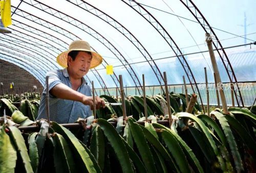 697c0f22195b44d3bba6b5c15e39caad.jpg 697c0f22195b44d3bba6b5c15e39caad.jpg