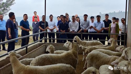 f77fef3e03644dcc9867526bf5af2520.jpg f77fef3e03644dcc9867526bf5af2520.jpg