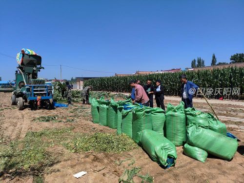 df4c9d2c29764232aec710b96ebbad7b