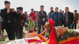 赛羊大会“明星”多——我市羊产业发展暨赛羊大会见闻