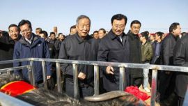 庆阳市羊产业发展暨赛羊大会举行