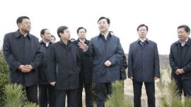 市委、市政府在庆城县召开全市苗林结合培育工作现场会