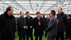 省、市人大代表，对全市重点项目建设进展情况进行视察