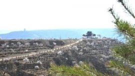 甘肃庆阳环县十年九旱“绿植梯田”促生态嬗变