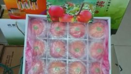 庆阳苹果今起现身庆阳机场便利店（图）