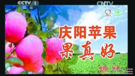 “庆阳苹果”宣传片登陆央视再塑品牌 