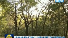 甘肃庆阳：打造“山清水秀”生态自然景观