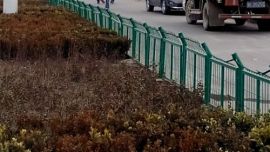 市民难耐寒冷披棉被上街 网友调侃“庆阳棉被哥”