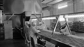 甘肃庆阳中庆农产品远销德国等国家（图）