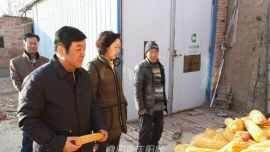 庆阳市政协主席张文礼在正宁县双联点开展双联工作