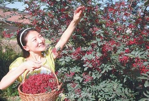 太莪乡——太莪,又称太廒,为旧时仓廒之一,后演变为太莪