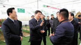 副省长王玺玉：创新思维举措做强产业夯实基础确保农业增效农民增收农村发展