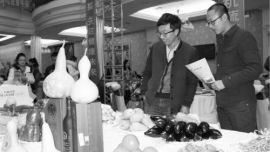 庆阳：有机蔬菜，悄然走近百姓餐桌 