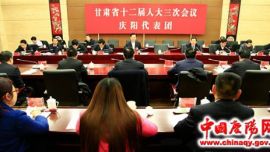 我市省人大代表热烈讨论审议省政府工作报告