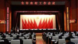 庆阳市农村工作会议召开 贠建民出席并讲话