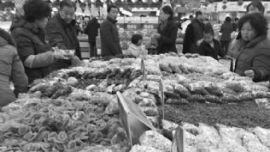 庆阳：羊年春节“洋气”消费