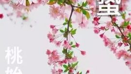 惊蛰是24节气中的第三个节气【印象庆阳网】