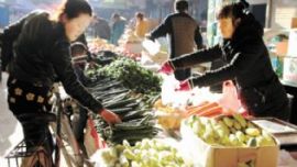 庆阳市大棚蔬菜俏销市场