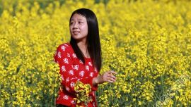 中国最美的梯田——陕西汉阴凤堰古梯田 （三）