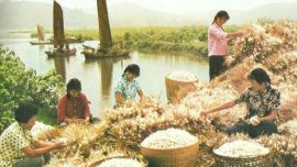 印象老照片第3期 1974年的中国彩色照片