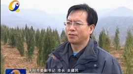 贠建民在接受记者采访时表示 全民齐动员 在庆阳大地上树起一座绿色丰碑