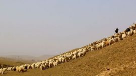  拈詩(shī)一首  以記下圖印象慶陽(yáng)攝影協(xié)會(huì)