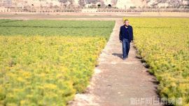 甘肃庆阳:黄土高原上的“绿色崛起”（高清组图）