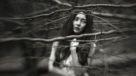 林之森——印象慶陽(yáng)攝影協(xié)會(huì)