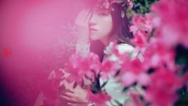 《物夢(mèng)花語(yǔ)》——印象慶陽(yáng)攝影協(xié)會(huì)