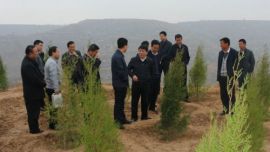 周继军督查西峰区肖金镇春季农业生产工作（图）