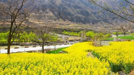 甘南的春天從這里出發(fā)（組圖）——印象慶陽(yáng)網(wǎng)