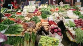 庆阳：菜商吐槽菜价跌“惨”市民抱怨嫌“贵” 