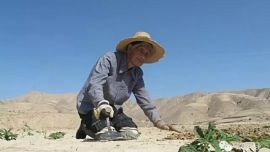 遠(yuǎn)忘黃土情——印象慶陽(yáng)攝影協(xié)會(huì)