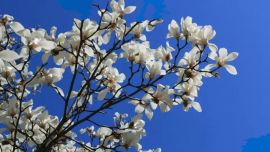 姹紫嫣紅四月天——印象慶陽攝影協(xié)會