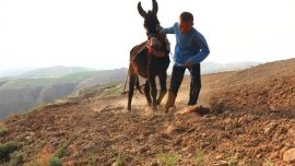 原始播種——印象慶陽攝影協(xié)會