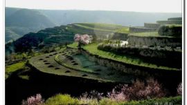 隴原春色——印象慶陽攝影協(xié)會