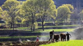 春耕大地——印象慶陽攝影協(xié)會