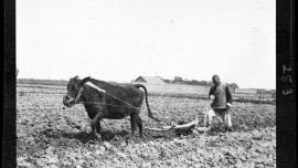 印象老照片第13期 美大學(xué)珍藏的晚清中國照  