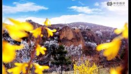 待到山花爛漫時——印象慶陽攝影協(xié)會