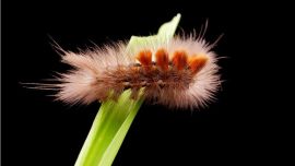 仁豐琨攝影——印象慶陽攝影協(xié)會