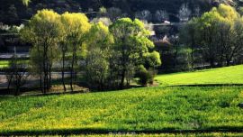 春綠大地——印象慶陽攝影協(xié)會