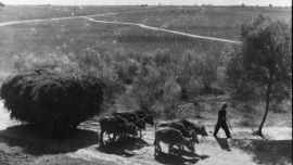 印象老照片第14期 攝影家王世龍拍攝的新中國時代--河南2