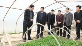 庆阳市人大常委会主任付振伟：培育壮大特色富民产业推动双联行动再上新台阶