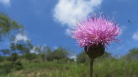 大美環(huán)縣——藍天之下（非禪攝影）