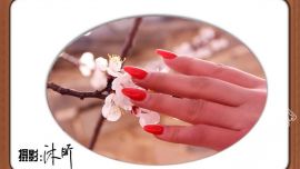 手挼紅杏蕊——印象慶陽攝影協(xié)會