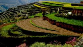 隴塬大地<春>——印象慶陽攝影協(xié)會