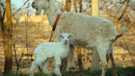 母子倆 攝影/張莘苗 印象慶陽網(wǎng)