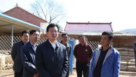 贠建民在合水县调研时强调：大力发展特色优势产业 确保群众持续稳定增收