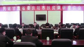 民建甘肃省委调研组来我市调研